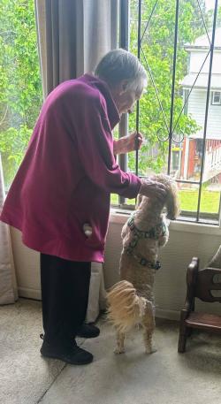 An image of Sylvia and her dog Chewy at their home window.